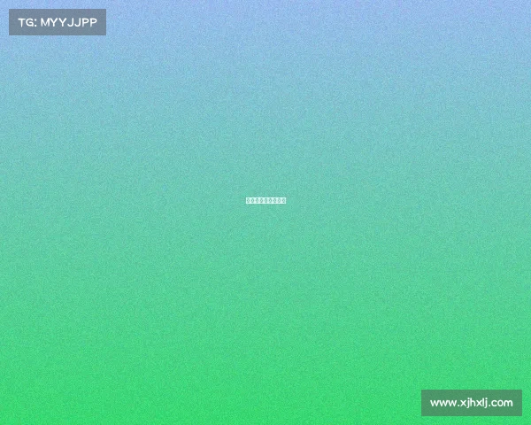 有含金量的金融比赛