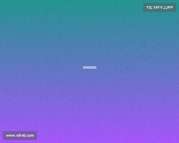 赛事级别是什么意思